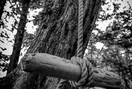 Driftwood Swing