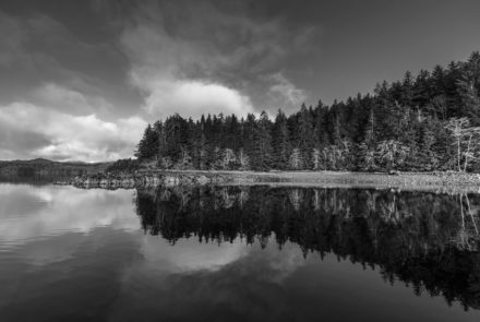 Thorne Arm Reflections